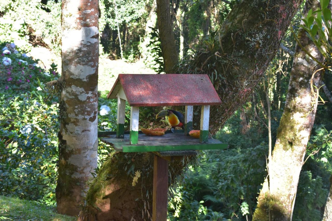 Pousada Amanita Monte Verde Monte Verde  Exterior photo